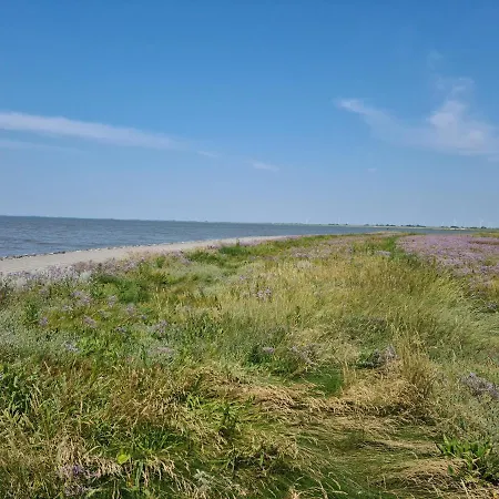 別荘 Haus Dornroeschen