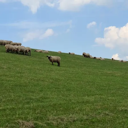 別荘 Haus Dornroeschen